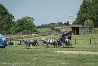 028 D501-DRESSAGE - ATTELAGE - 27052017-GAL 0765 : 2017, 27 Mai 2017, Concours ATTELAGE 2017, D501, DR07, Dressage