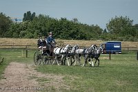 029 D501-DRESSAGE - ATTELAGE - 27052017-GAL 0766 : 2017, 27 Mai 2017, Concours ATTELAGE 2017, D501, DR07, Dressage