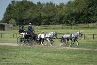 031 D501-DRESSAGE - ATTELAGE - 27052017-GAL 0768 : 2017, 27 Mai 2017, Concours ATTELAGE 2017, D501, DR07, Dressage