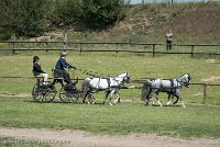 032 D501-DRESSAGE - ATTELAGE - 27052017-GAL 0769 : 2017, 27 Mai 2017, Concours ATTELAGE 2017, D501, DR07, Dressage