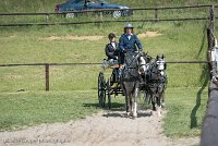 034 D501-DRESSAGE - ATTELAGE - 27052017-GAL 0771 : 2017, 27 Mai 2017, Concours ATTELAGE 2017, D501, DR07, Dressage