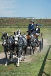 036 D501-DRESSAGE - ATTELAGE - 27052017-GAL 0773 : 2017, 27 Mai 2017, Concours ATTELAGE 2017, D501, DR07, Dressage