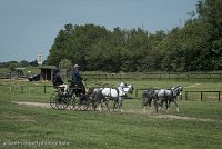 038 D501-DRESSAGE - ATTELAGE - 27052017-GAL 0775 : 2017, 27 Mai 2017, Concours ATTELAGE 2017, D501, DR07, Dressage