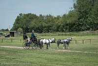 039 D501-DRESSAGE - ATTELAGE - 27052017-GAL 0776 : 2017, 27 Mai 2017, Concours ATTELAGE 2017, D501, DR07, Dressage