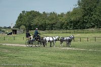 040 D501-DRESSAGE - ATTELAGE - 27052017-GAL 0777 : 2017, 27 Mai 2017, Concours ATTELAGE 2017, D501, DR07, Dressage