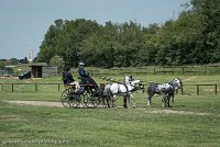 041 D501-DRESSAGE - ATTELAGE - 27052017-GAL 0778 : 2017, 27 Mai 2017, Concours ATTELAGE 2017, D501, DR07, Dressage