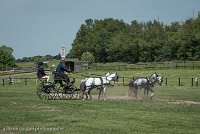 042 D501-DRESSAGE - ATTELAGE - 27052017-GAL 0779 : 2017, 27 Mai 2017, Concours ATTELAGE 2017, D501, DR07, Dressage