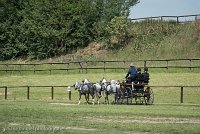 043 D501-DRESSAGE - ATTELAGE - 27052017-GAL 0780 : 2017, 27 Mai 2017, Concours ATTELAGE 2017, D501, DR07, Dressage