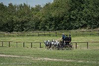 044 D501-DRESSAGE - ATTELAGE - 27052017-GAL 0781 : 2017, 27 Mai 2017, Concours ATTELAGE 2017, D501, DR07, Dressage