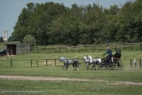 045 D501-DRESSAGE - ATTELAGE - 27052017-GAL 0782 : 2017, 27 Mai 2017, Concours ATTELAGE 2017, D501, DR07, Dressage