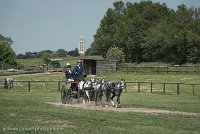 046 D501-DRESSAGE - ATTELAGE - 27052017-GAL 0784 : 2017, 27 Mai 2017, Concours ATTELAGE 2017, D501, DR07, Dressage