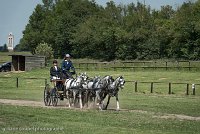 047 D501-DRESSAGE - ATTELAGE - 27052017-GAL 0785 : 2017, 27 Mai 2017, Concours ATTELAGE 2017, D501, DR07, Dressage