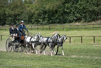 048 D501-DRESSAGE - ATTELAGE - 27052017-GAL 0786 : 2017, 27 Mai 2017, Concours ATTELAGE 2017, D501, DR07, Dressage