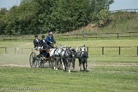 049 D501-DRESSAGE - ATTELAGE - 27052017-GAL 0787 : 2017, 27 Mai 2017, Concours ATTELAGE 2017, D501, DR07, Dressage