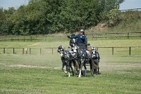 050 D501-DRESSAGE - ATTELAGE - 27052017-GAL 0788 : 2017, 27 Mai 2017, Concours ATTELAGE 2017, D501, DR07, Dressage