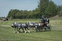 051 D501-DRESSAGE - ATTELAGE - 27052017-GAL 0789 : 2017, 27 Mai 2017, Concours ATTELAGE 2017, D501, DR07, Dressage