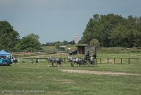 052 D501-DRESSAGE - ATTELAGE - 27052017-GAL 0790 : 2017, 27 Mai 2017, Concours ATTELAGE 2017, D501, DR07, Dressage