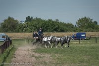 053 D501-DRESSAGE - ATTELAGE - 27052017-GAL 0791 : 2017, 27 Mai 2017, Concours ATTELAGE 2017, D501, DR07, Dressage