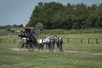 054 D501-DRESSAGE - ATTELAGE - 27052017-GAL 0792 : 2017, 27 Mai 2017, Concours ATTELAGE 2017, D501, DR07, Dressage