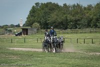 055 D501-DRESSAGE - ATTELAGE - 27052017-GAL 0793 : 2017, 27 Mai 2017, Concours ATTELAGE 2017, D501, DR07, Dressage