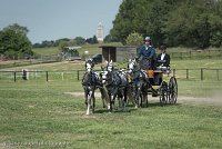 056 D501-DRESSAGE - ATTELAGE - 27052017-GAL 0794 : 2017, 27 Mai 2017, Concours ATTELAGE 2017, D501, DR07, Dressage