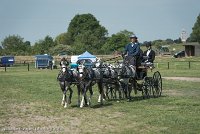 057 D501-DRESSAGE - ATTELAGE - 27052017-GAL 0795 : 2017, 27 Mai 2017, Concours ATTELAGE 2017, D501, DR07, Dressage