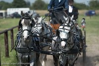 060 D501-DRESSAGE - ATTELAGE - 27052017-GAL 0798 : 2017, 27 Mai 2017, Concours ATTELAGE 2017, D501, DR07, Dressage