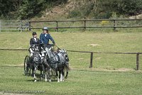 062 D501-DRESSAGE - ATTELAGE - 27052017-GAL 0800 : 2017, 27 Mai 2017, Concours ATTELAGE 2017, D501, DR07, Dressage