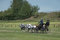 063 D501-DRESSAGE - ATTELAGE - 27052017-GAL 0801 : 2017, 27 Mai 2017, Concours ATTELAGE 2017, D501, DR07, Dressage