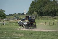 064 D501-DRESSAGE - ATTELAGE - 27052017-GAL 0802 : 2017, 27 Mai 2017, Concours ATTELAGE 2017, D501, DR07, Dressage