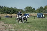 065 D501-DRESSAGE - ATTELAGE - 27052017-GAL 0803 : 2017, 27 Mai 2017, Concours ATTELAGE 2017, D501, DR07, Dressage