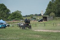 066 D501-DRESSAGE - ATTELAGE - 27052017-GAL 0804 : 2017, 27 Mai 2017, Concours ATTELAGE 2017, D501, DR07, Dressage