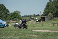 067 D501-DRESSAGE - ATTELAGE - 27052017-GAL 0805 : 2017, 27 Mai 2017, Concours ATTELAGE 2017, D501, DR07, Dressage