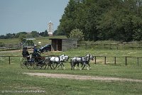 068 D501-DRESSAGE - ATTELAGE - 27052017-GAL 0806 : 2017, 27 Mai 2017, Concours ATTELAGE 2017, D501, DR07, Dressage