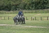 069 D501-DRESSAGE - ATTELAGE - 27052017-GAL 0807 : 2017, 27 Mai 2017, Concours ATTELAGE 2017, D501, DR07, Dressage