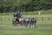 070 D501-DRESSAGE - ATTELAGE - 27052017-GAL 0808 : 2017, 27 Mai 2017, Concours ATTELAGE 2017, D501, DR07, Dressage