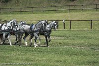 071 D501-DRESSAGE - ATTELAGE - 27052017-GAL 0809 : 2017, 27 Mai 2017, Concours ATTELAGE 2017, D501, DR07, Dressage