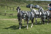 075 D501-DRESSAGE - ATTELAGE - 27052017-GAL 0818 : 2017, 27 Mai 2017, Concours ATTELAGE 2017, D501, DR07, Dressage