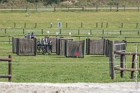 002 D501-ATTELAGE LOUVRES - MARATHON - 28052017-ATE 2133 : 2017, 28 mAI 2017, Concours ATTELAGE 2017, D501, MARATHON