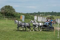 006 D501-ATTELAGE LOUVRES - MARATHON - 28052017-ATE 2140 : 2017, 28 mAI 2017, Concours ATTELAGE 2017, D501, MARATHON