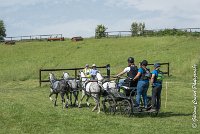 008 D501-ATTELAGE LOUVRES - MARATHON - 28052017-ATE 2142 : 2017, 28 mAI 2017, Concours ATTELAGE 2017, D501, MARATHON