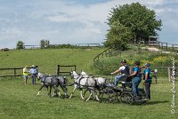 012 D501-ATTELAGE LOUVRES - MARATHON - 28052017-ATE 2182 : 2017, 28 mAI 2017, Concours ATTELAGE 2017, D501, MARATHON, Obstacle 2