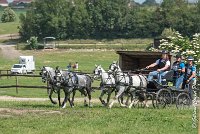 014 D501-ATTELAGE LOUVRES - MARATHON - 28052017-ATE 2206 : 2017, 28 mAI 2017, Concours ATTELAGE 2017, D501, MARATHON, Obstacle 3