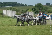 015 D501-ATTELAGE LOUVRES - MARATHON - 28052017-ATE 2207 : 2017, 28 mAI 2017, Concours ATTELAGE 2017, D501, MARATHON, Obstacle 3