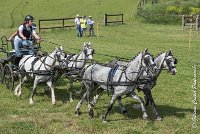 017 D501-ATTELAGE LOUVRES - MARATHON - 28052017-ATE 2209 : 2017, 28 mAI 2017, Concours ATTELAGE 2017, D501, MARATHON, Obstacle 3