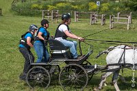 018 D501-ATTELAGE LOUVRES - MARATHON - 28052017-ATE 2210 : 2017, 28 mAI 2017, Concours ATTELAGE 2017, D501, MARATHON, Obstacle 3