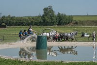 020 D501-ATTELAGE LOUVRES - MARATHON - 28052017-ATE 2212 : 2017, 28 mAI 2017, Concours ATTELAGE 2017, D501, MARATHON, Obstacle 3