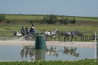 021 D501-ATTELAGE LOUVRES - MARATHON - 28052017-ATE 2213 : 2017, 28 mAI 2017, Concours ATTELAGE 2017, D501, MARATHON, Obstacle 3