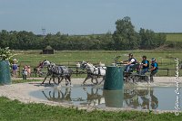 028 D501-ATTELAGE LOUVRES - MARATHON - 28052017-ATE 2222 : 2017, 28 mAI 2017, Concours ATTELAGE 2017, D501, MARATHON, Obstacle 3