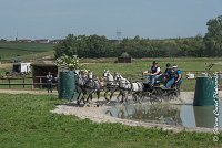 029 D501-ATTELAGE LOUVRES - MARATHON - 28052017-ATE 2223 : 2017, 28 mAI 2017, Concours ATTELAGE 2017, D501, MARATHON, Obstacle 3